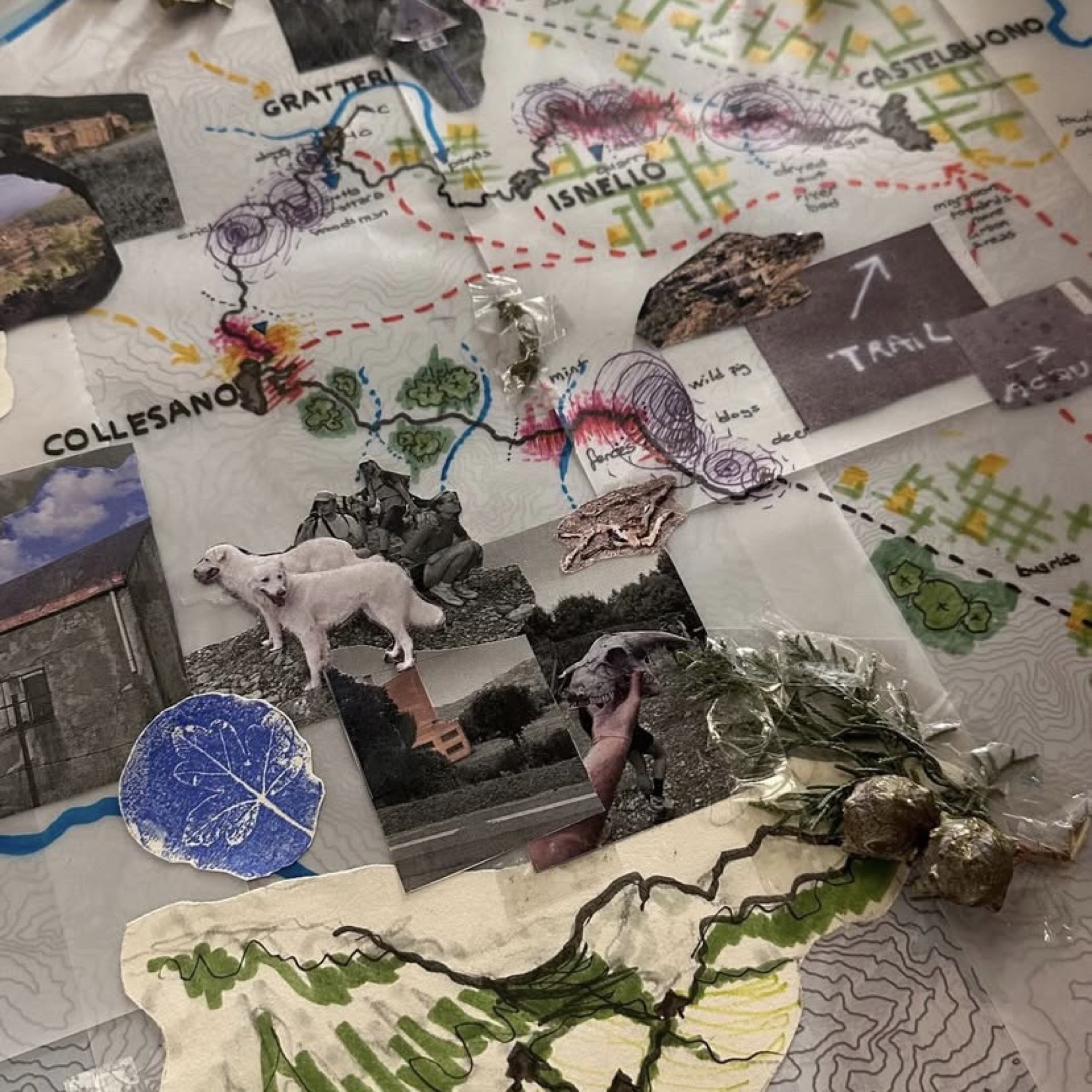 Walking the Madonie: Laboratorio del Cammino Summer School 2025